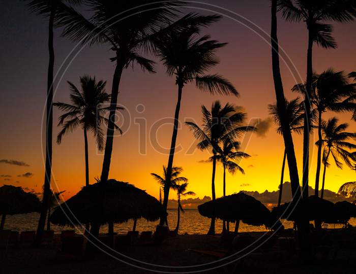Tropical sun set silhouette