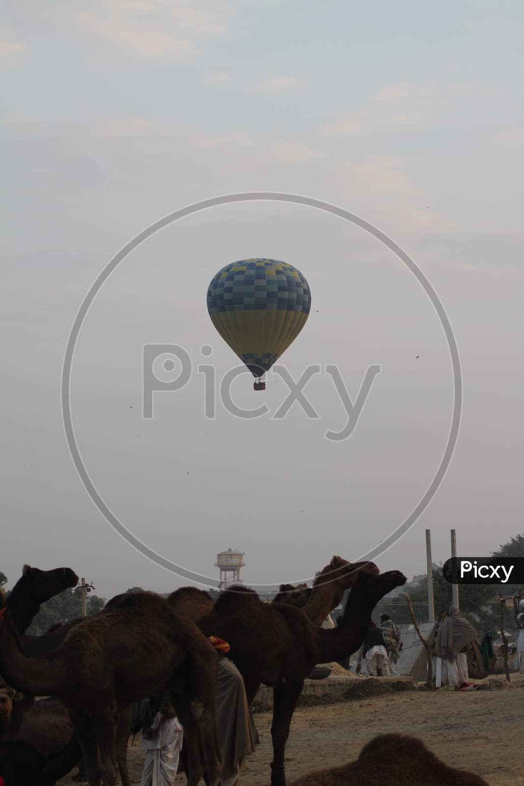 Hot Air Balloons In Pushkar Camel Fair, Rajasthan