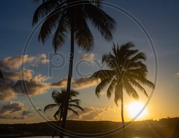 Sunset Between Beach Palms. Fall Of The Sun Between The Trees.