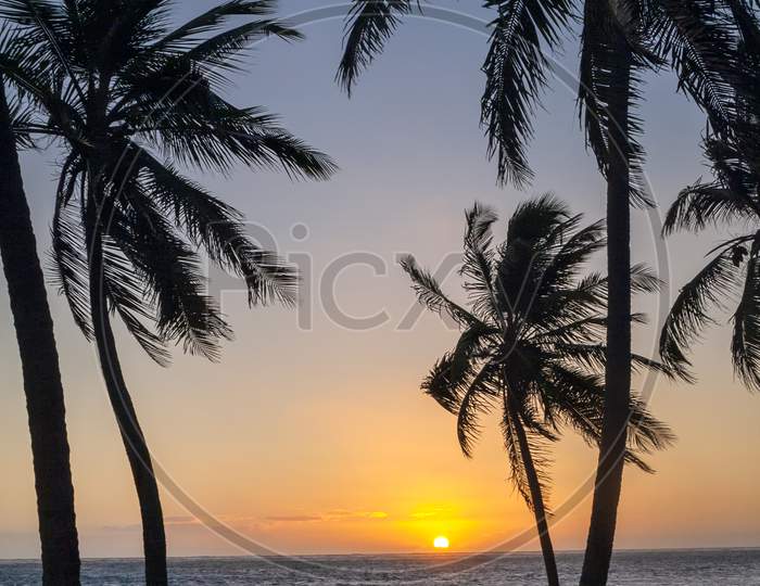 Sunrise or sunset in Dominican Republic with palm trees and early morning glow