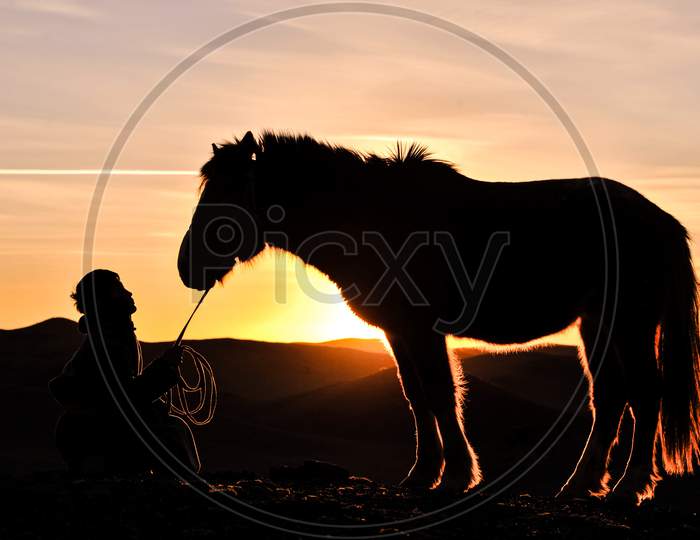 Horse and Son