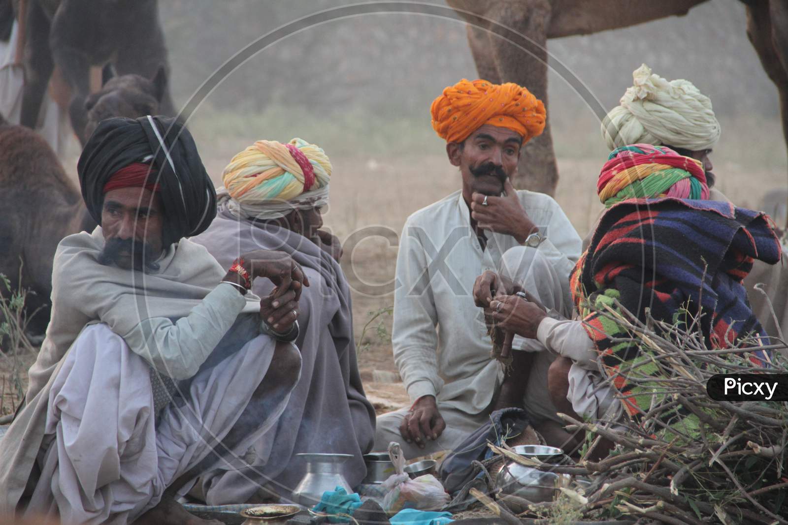 Camel Traders Cooking At Pushkar Camel Fair in Rajasthan