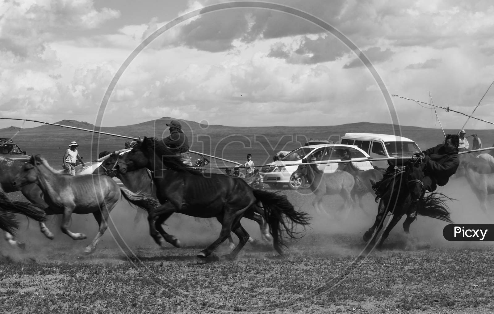 Mongolia horse man