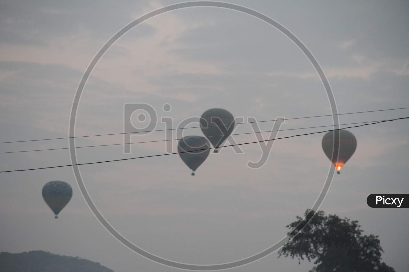 Hot Air Balloons In Sky At Pushkar Camel Fair, Rajasthan