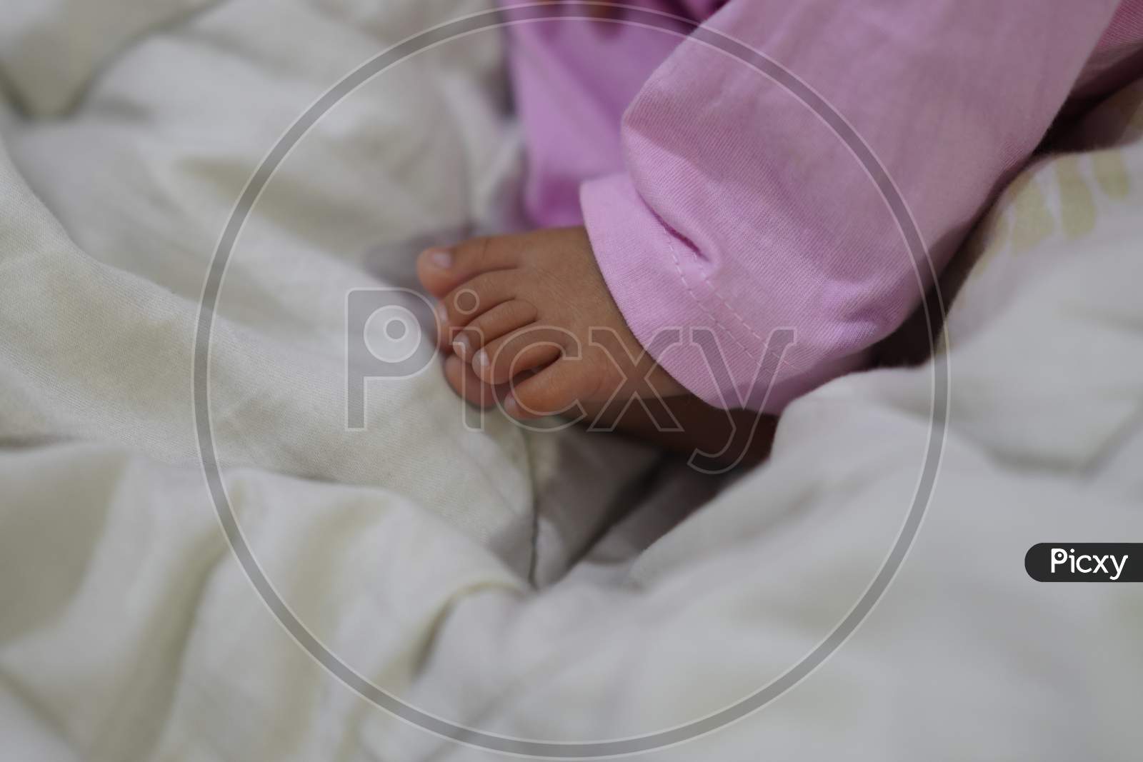 Baby Boy feet closeup