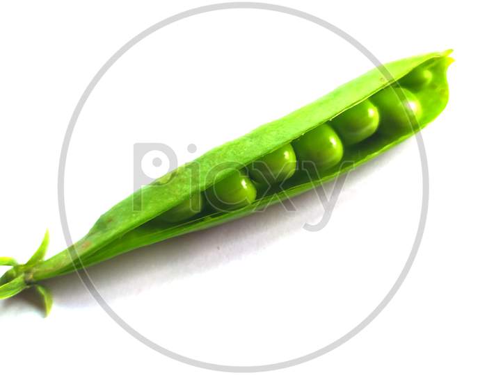 fresh green pea with pea seeds isolated on white background