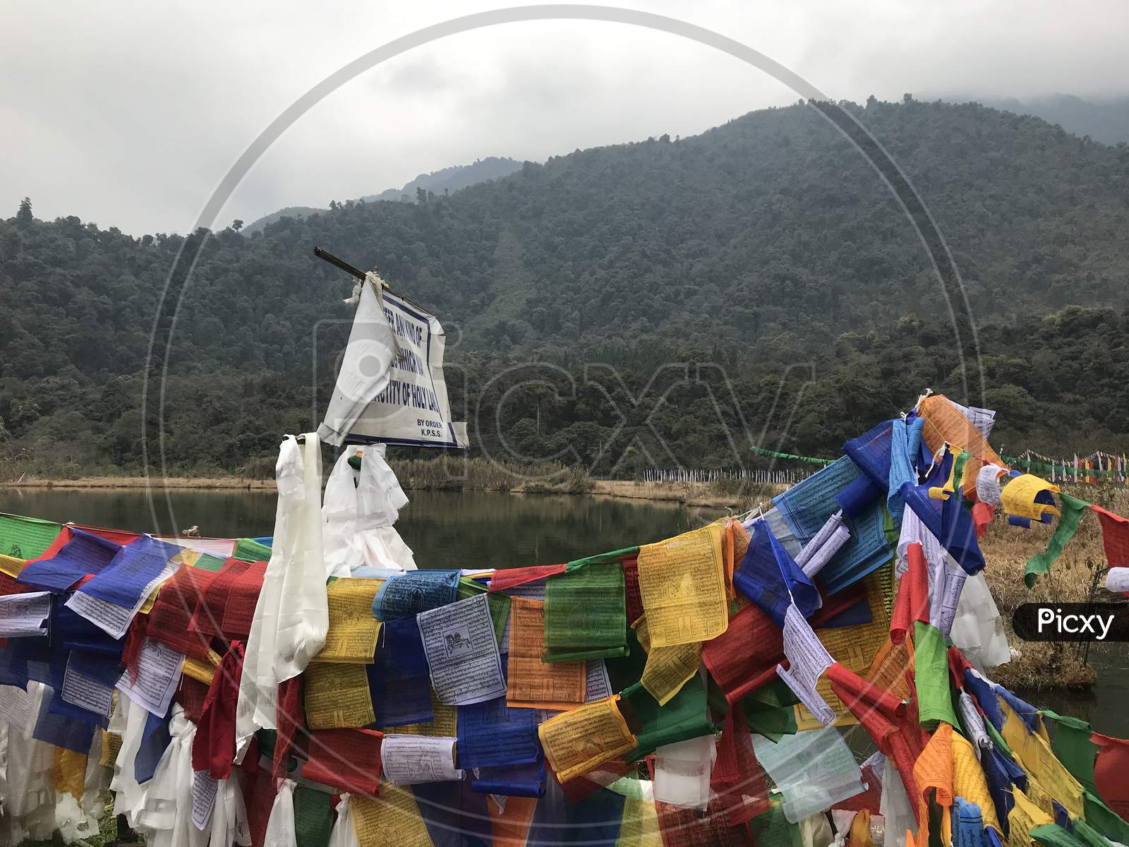 Tibetan Flags