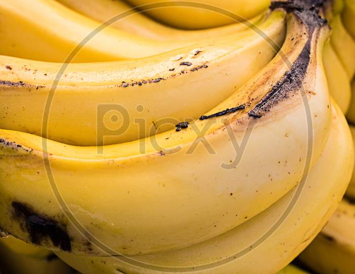 Bunch Of Rip Organic Yellow Bananas , Close-Up Shot