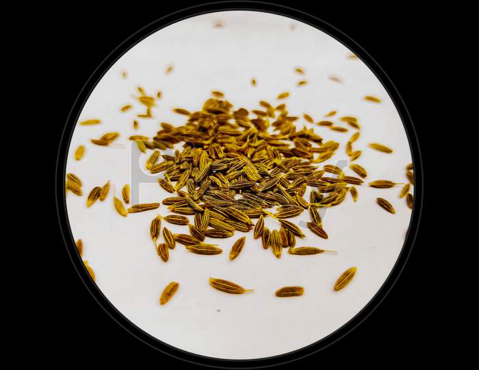 A concept pic of brown cumin seeds spice isolated in white background surrounded by black circular border