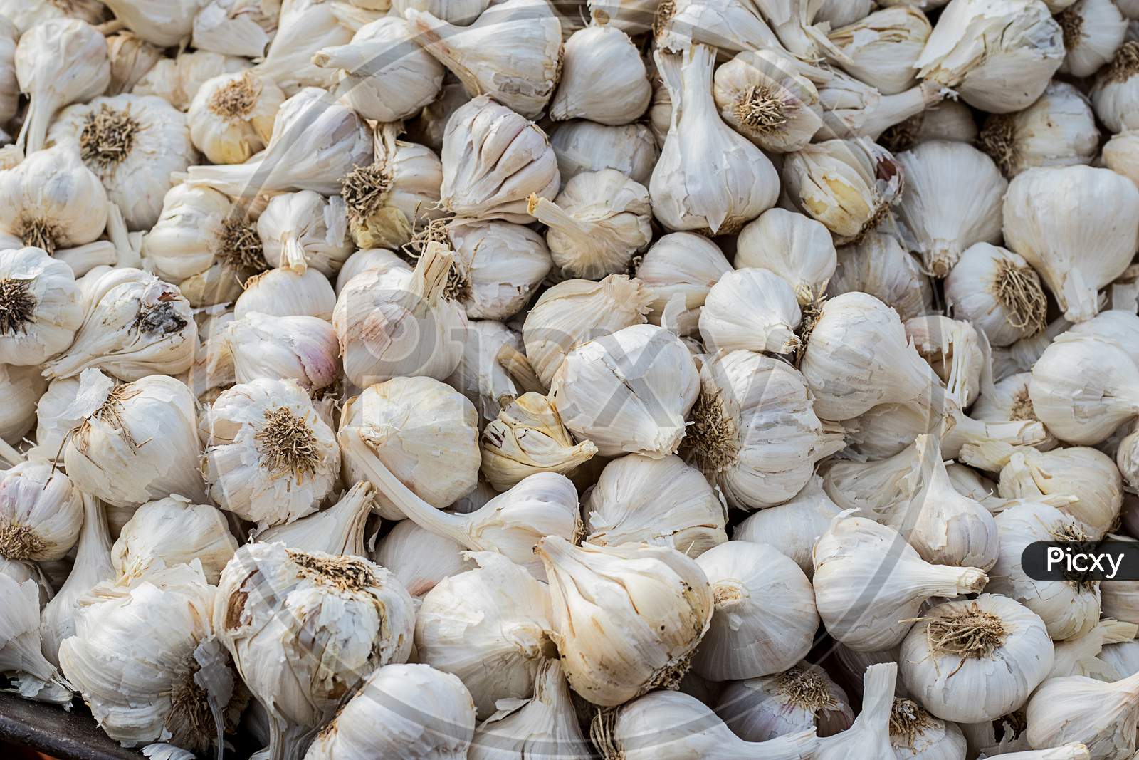 Close Up Of Garlic In Market, Organic Garlic Background
