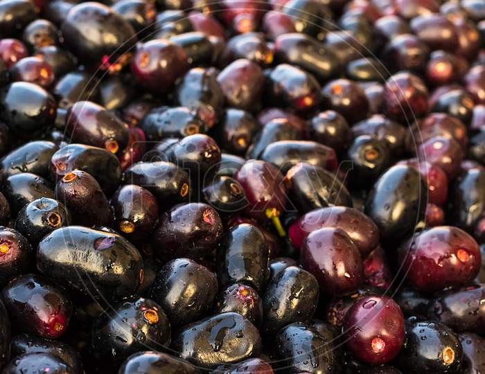Lots Of Black Plum Organic Fruit, Background, Agriculture And Health Concept