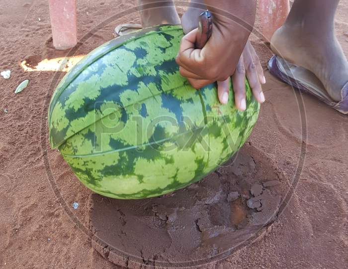 An Oval Watermelon Being Cut