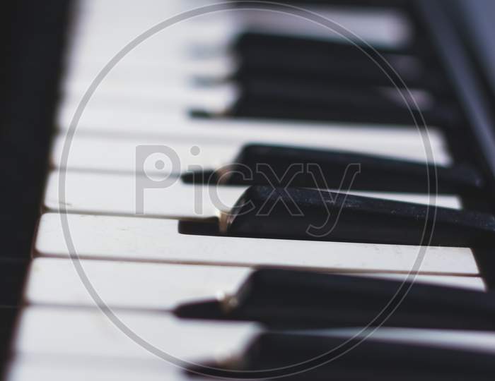 Close Up Of Piano Keys. White And Black Keys. Playing Electronic Piano.