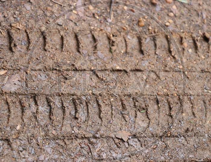 Tire Tracks Or Wheel Tracks On Wet Soil