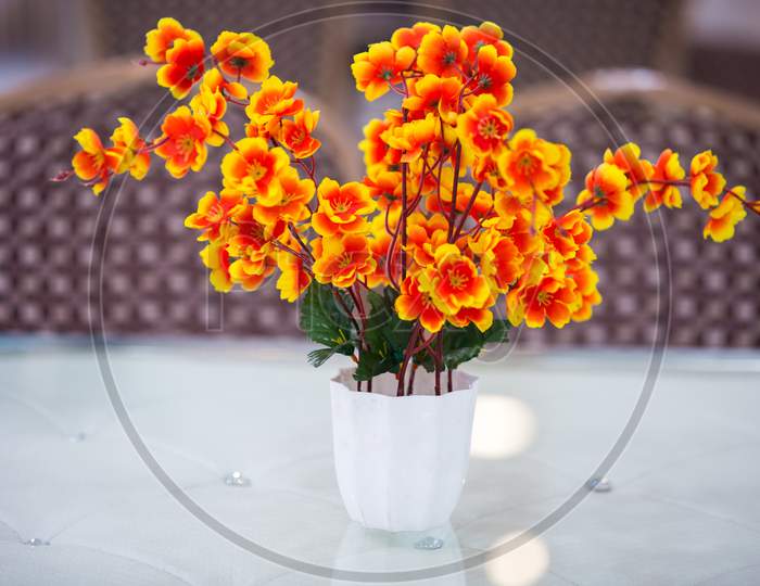 Orange Flowers In A Vase On A White White Table