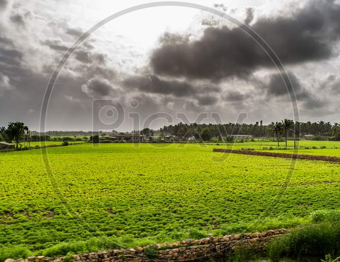 View of Green Farmland from running train in India
