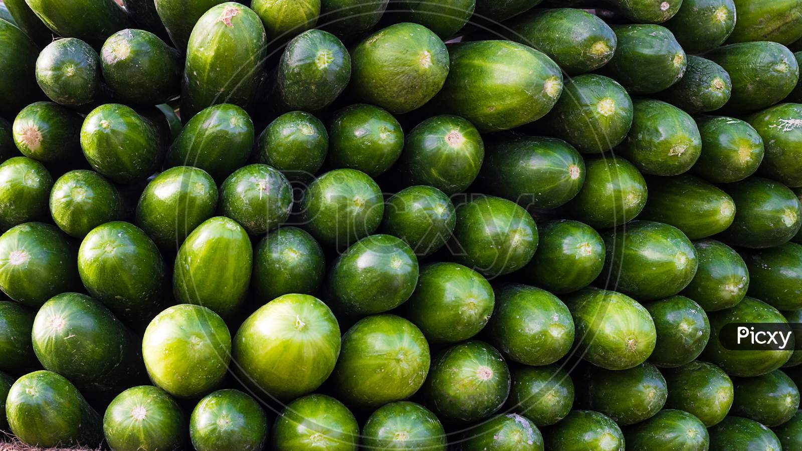 Raw Green Organic Cucumbers In A Pile, Background