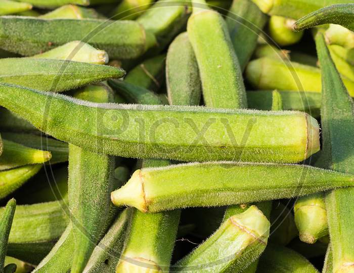 Ladyfinger Close Up, Fresh And Green, Background