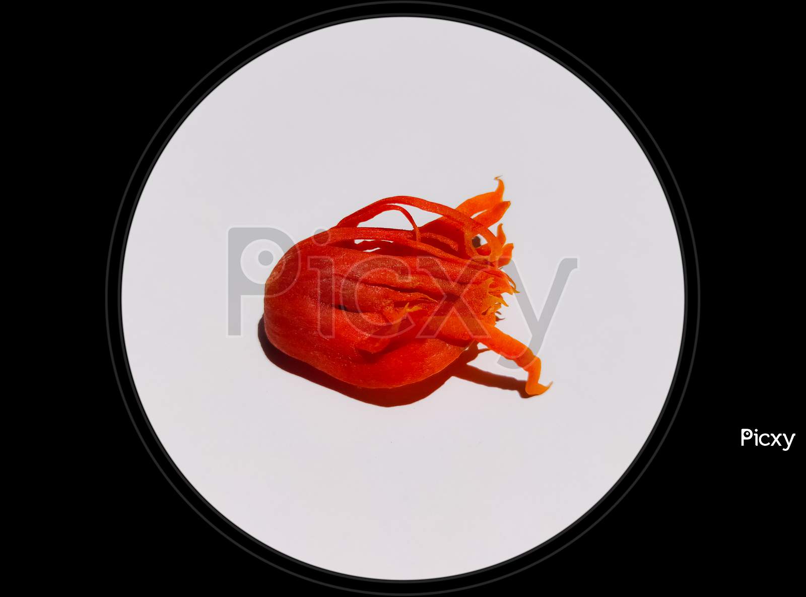A concept pic of red maze spice isolated in white background surrounded by black circular border