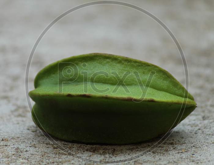 Unripe Green Carambola Or Start Fruit Or Birambi Is The Fruit Native To Southeast Asia. The Fruit Has Distinctive Ridges Running Down Its Sides.