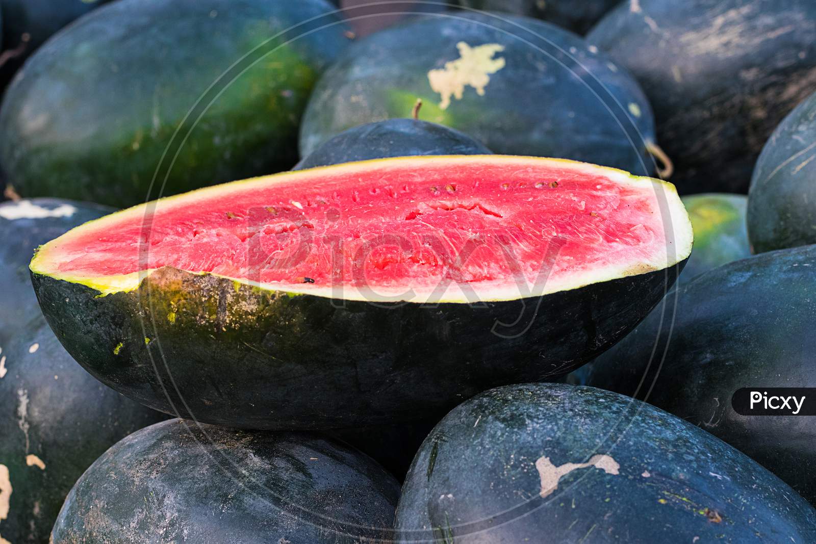 Red Cut Watermelon On A Pile Of Ripe Watermelons