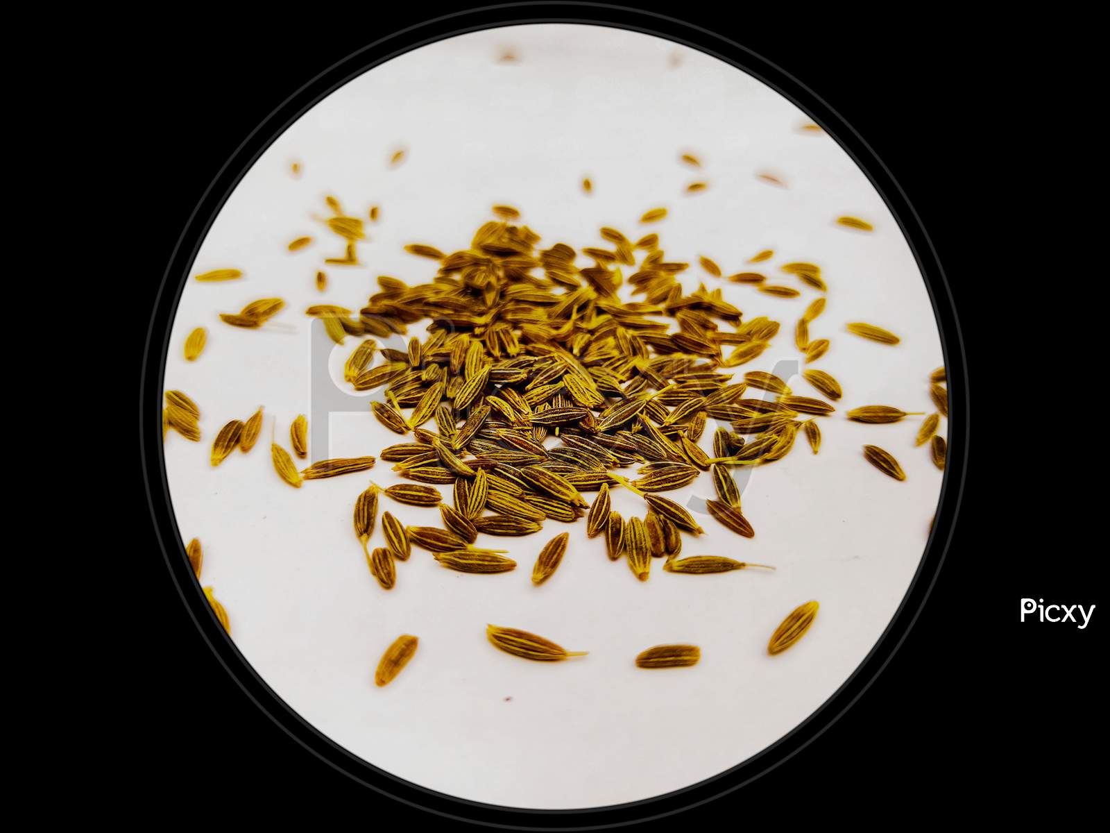 A concept pic of brown cumin seeds spice isolated in white background surrounded by black circular border