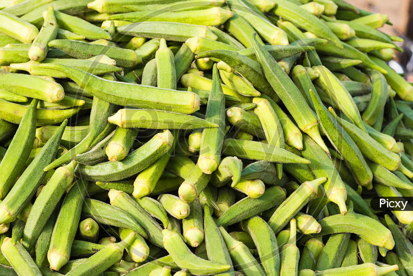 Fresh Organic Ladyfinger On Market, Agriculture And Food Concept, Background