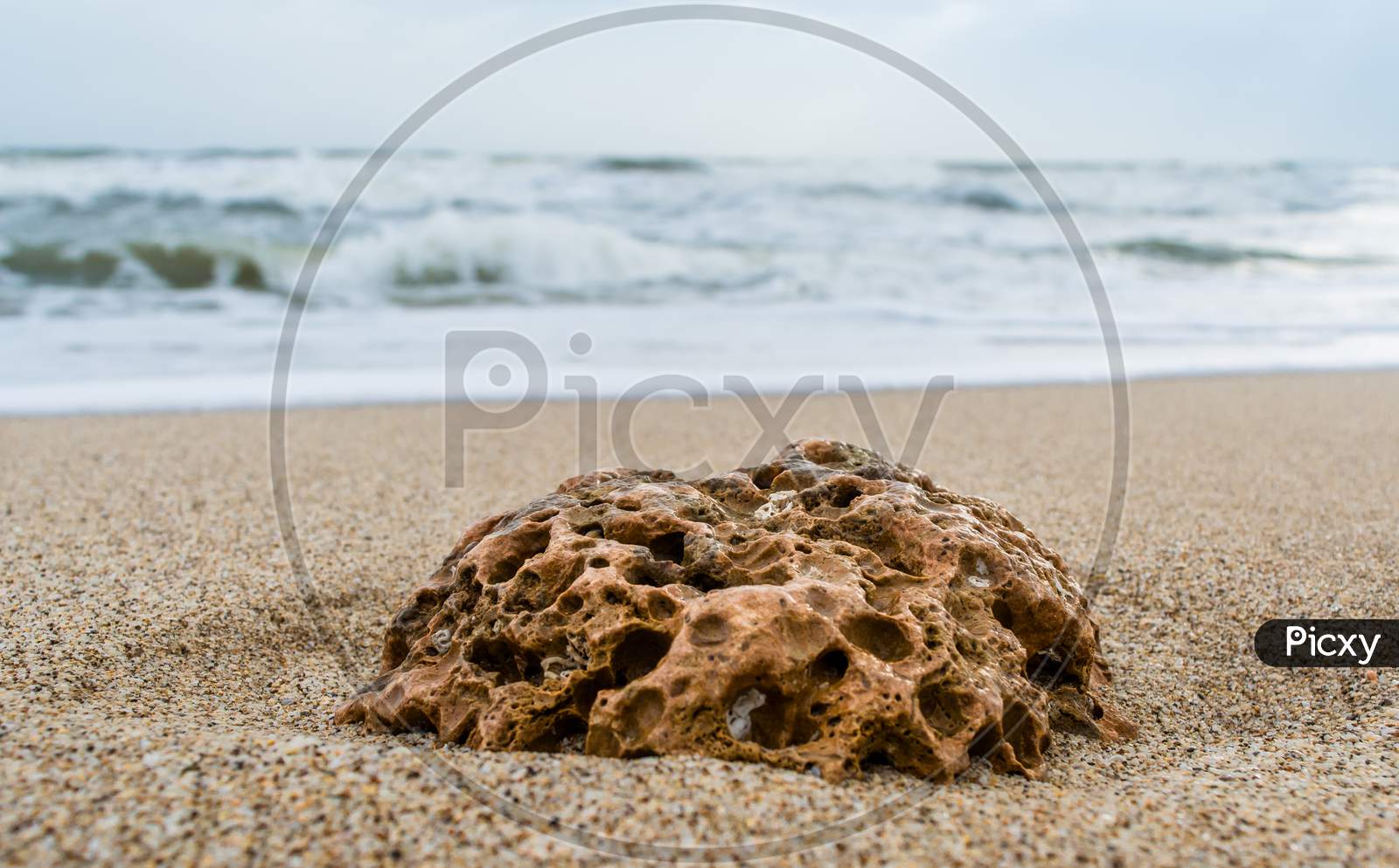 coral and sea-shell at sea beach of somnath temple of somnath Gujarat India