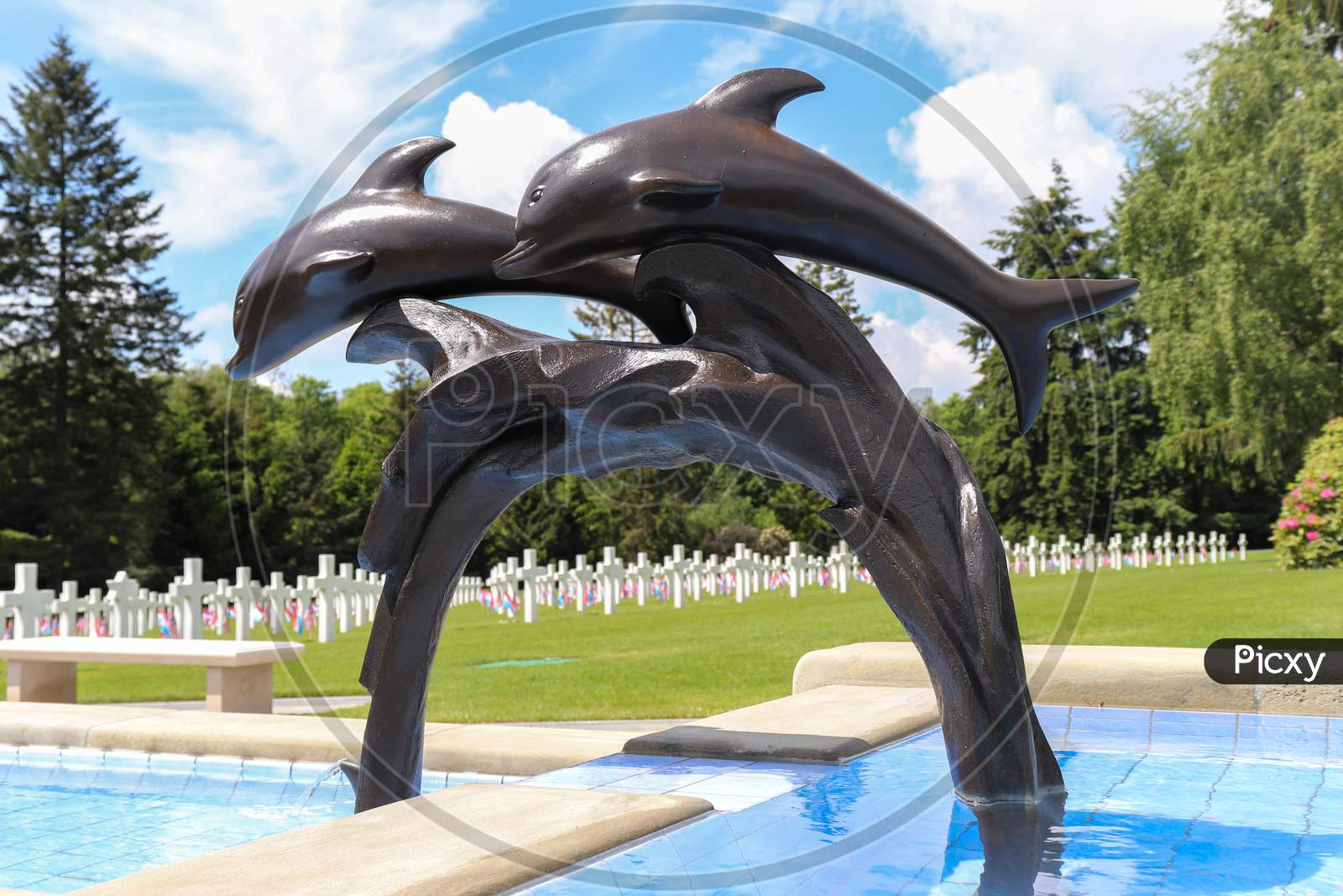 Dolphin Statue In A Fountain In A Military Cemetery