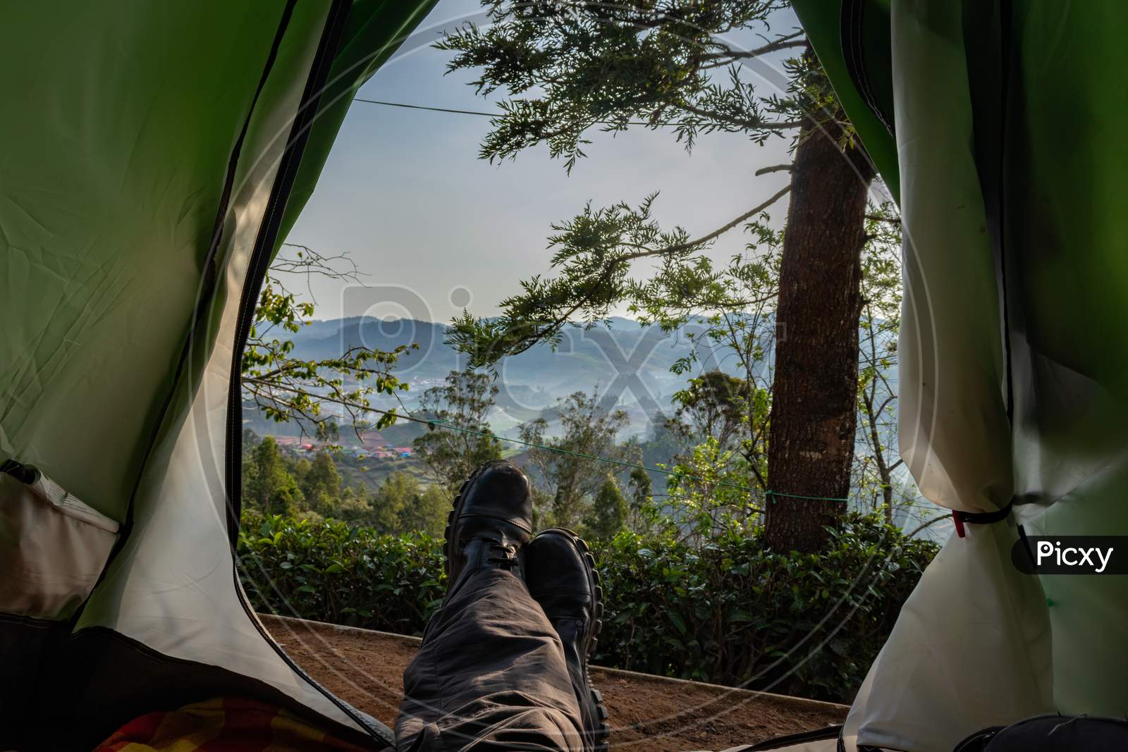 Camping Solo At Tea Garden Hill Top With Mesmerizing View