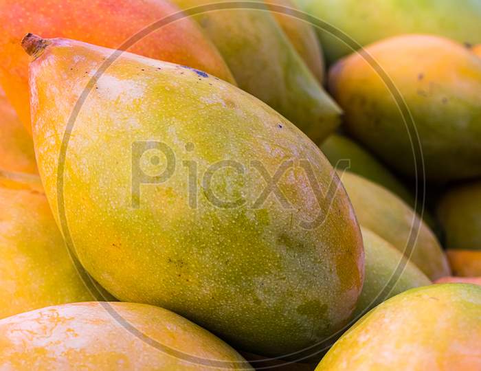 Bunch Of Rip Organic Mangoes. Summer Fruit  Background, Close-Up