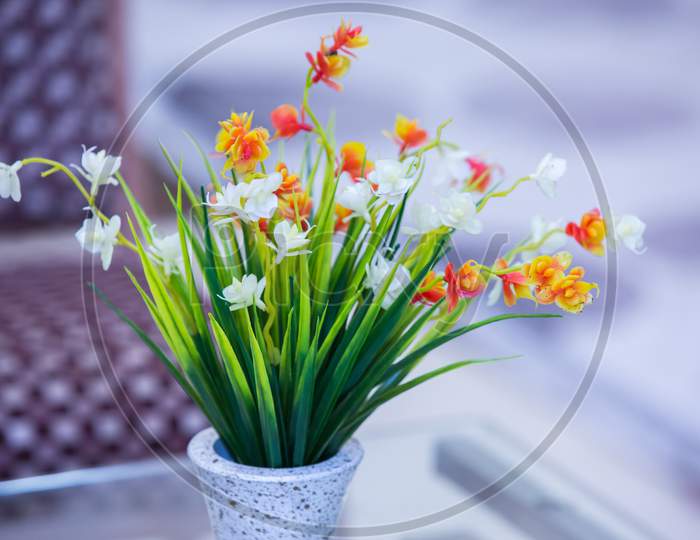 Small White And Orange Flowers In A Vase