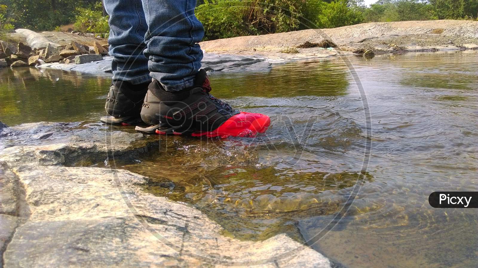 Red and black adidas shoes in river water