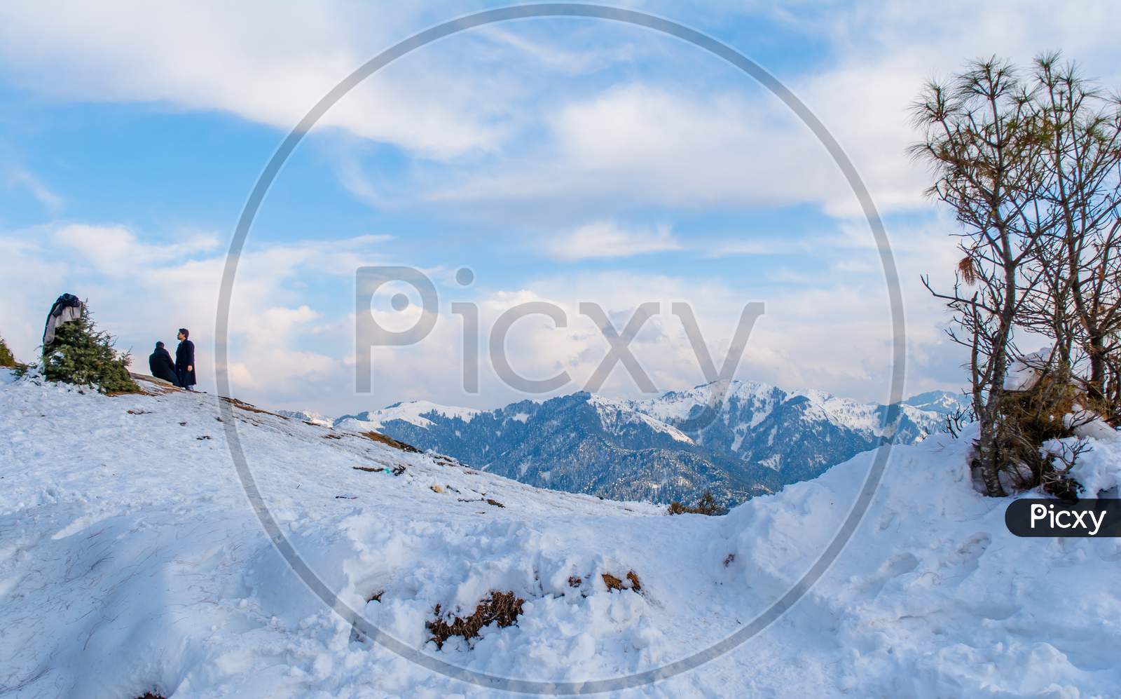Nathatop and Patnitop cities of Jammu and its park covered with white snow, Winter landscape