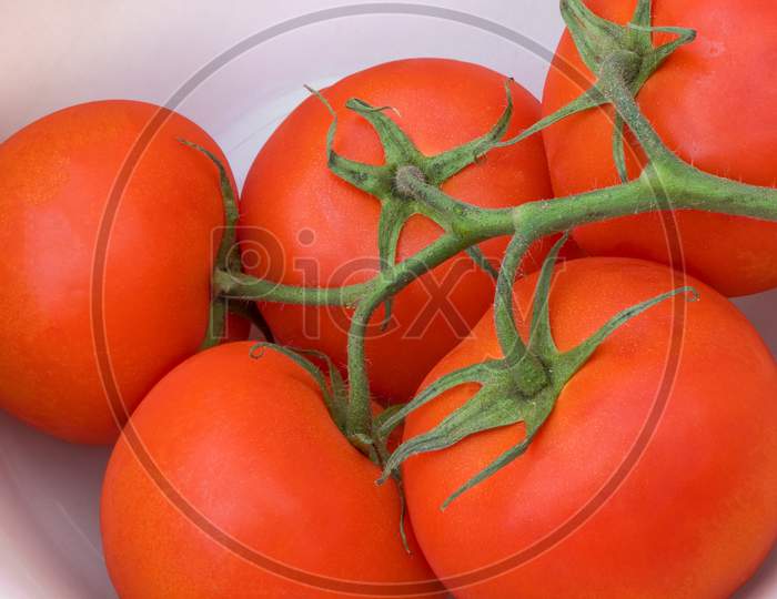 Five freshly selected tomatoes on a white background