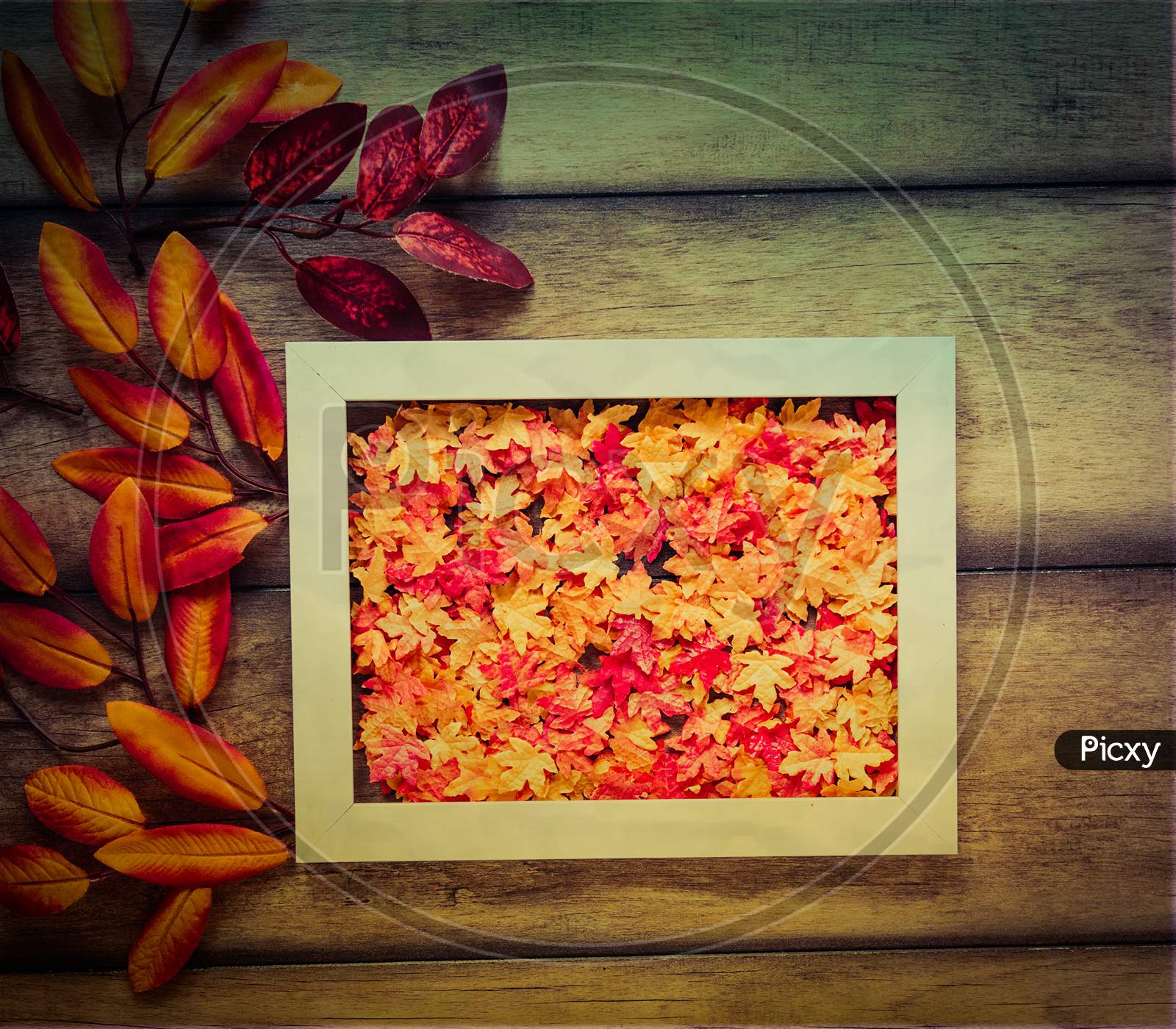 Bright colorful autumn leaves with a gift on a white wooden background