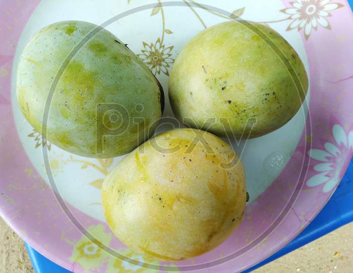 Indian mango fruit slices
