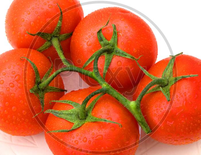Five freshly selected tomatoes on a white background