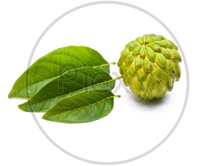 Sugar apple or custard apple with green leaf isolated on white background