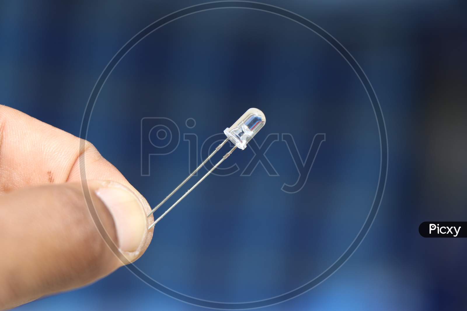 Small Light Emitting Diode Or Led Which Is Electronic Component Held In Short Held In Hand