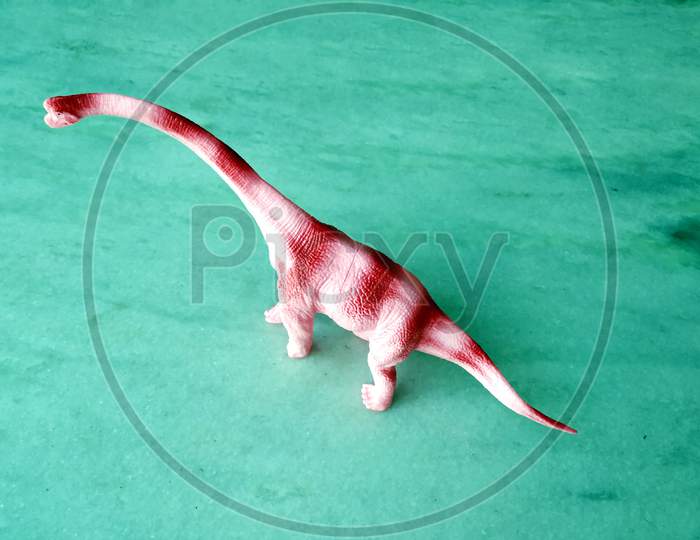 Tyrannosaurus dinosaurs toy isolated on white background with clipping path.