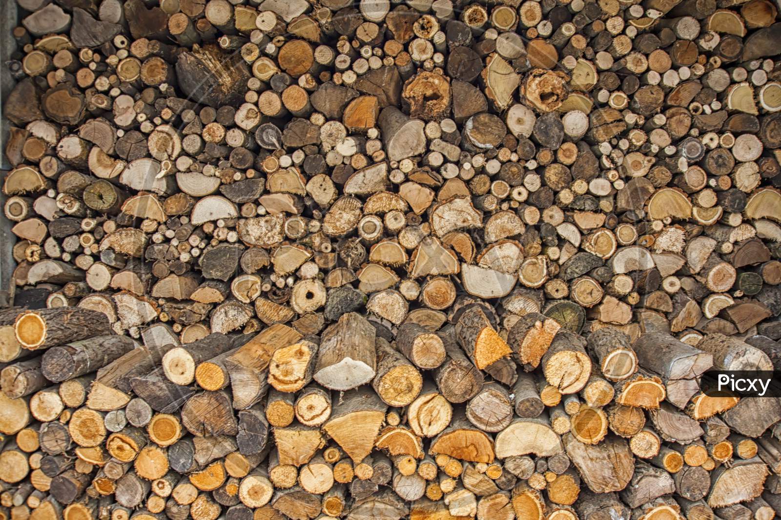 Stacked, Chopped Wood