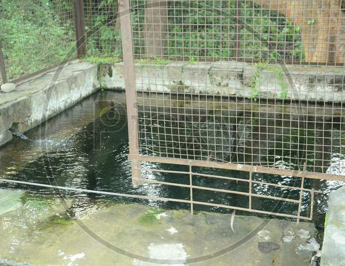 Traditional source of water Hmirpur Himachal Pradas,India