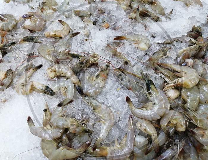 Medium Size Fresh Prawn Fish In Market For Sale