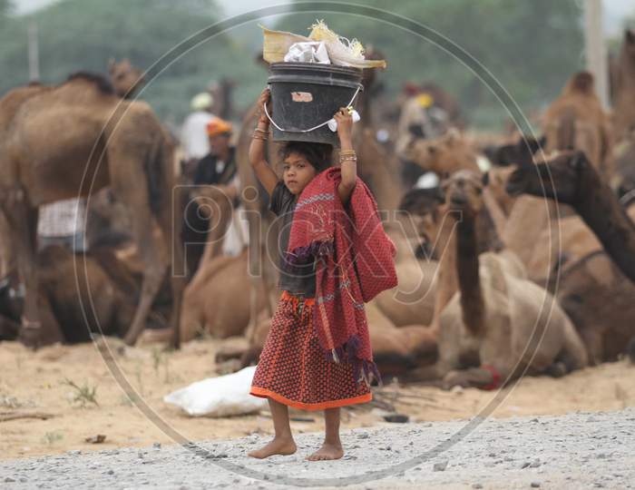 Girl Child Carrying Heavy Weight Over Head At Pushkar Camel Fair, Rajasthan