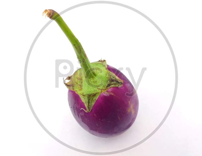 a fresh violet brinjal vegitable isolated put on white background