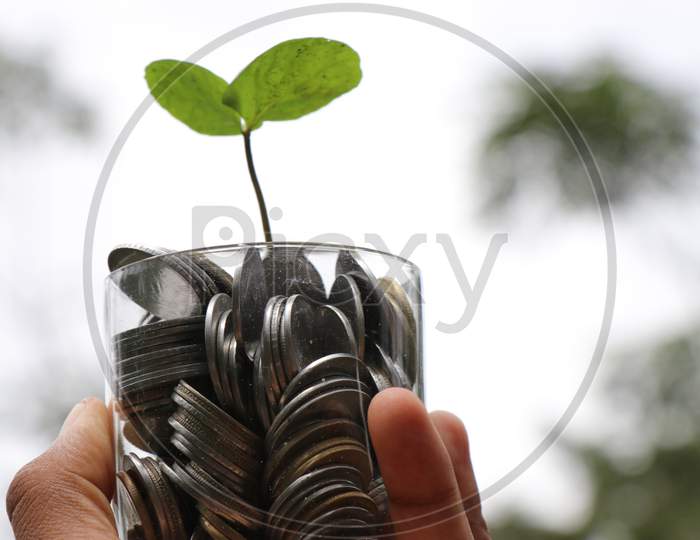 Business Growth Or Money Growth Concept
