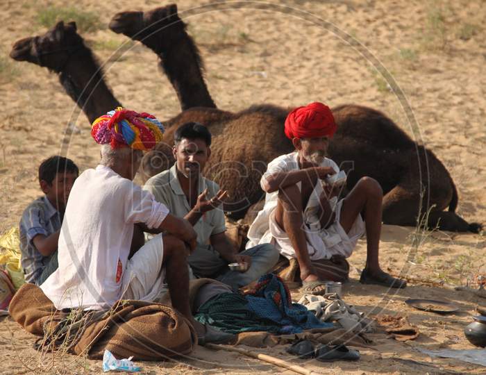 A Group of Camel Trader Eating Food At Pushkar Camel Fair, Pushkar