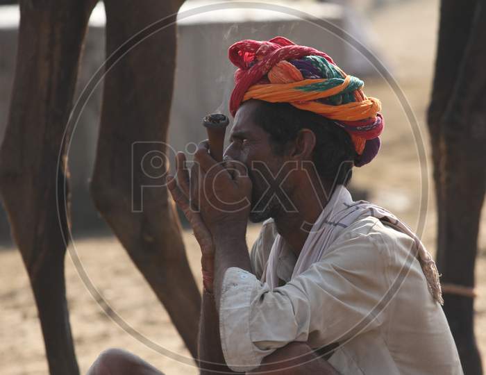 A Rajasthani Camel Trader Smoking Ganja or Marijuana Or Weed At Pushkar Camel Fair, Pushkar
