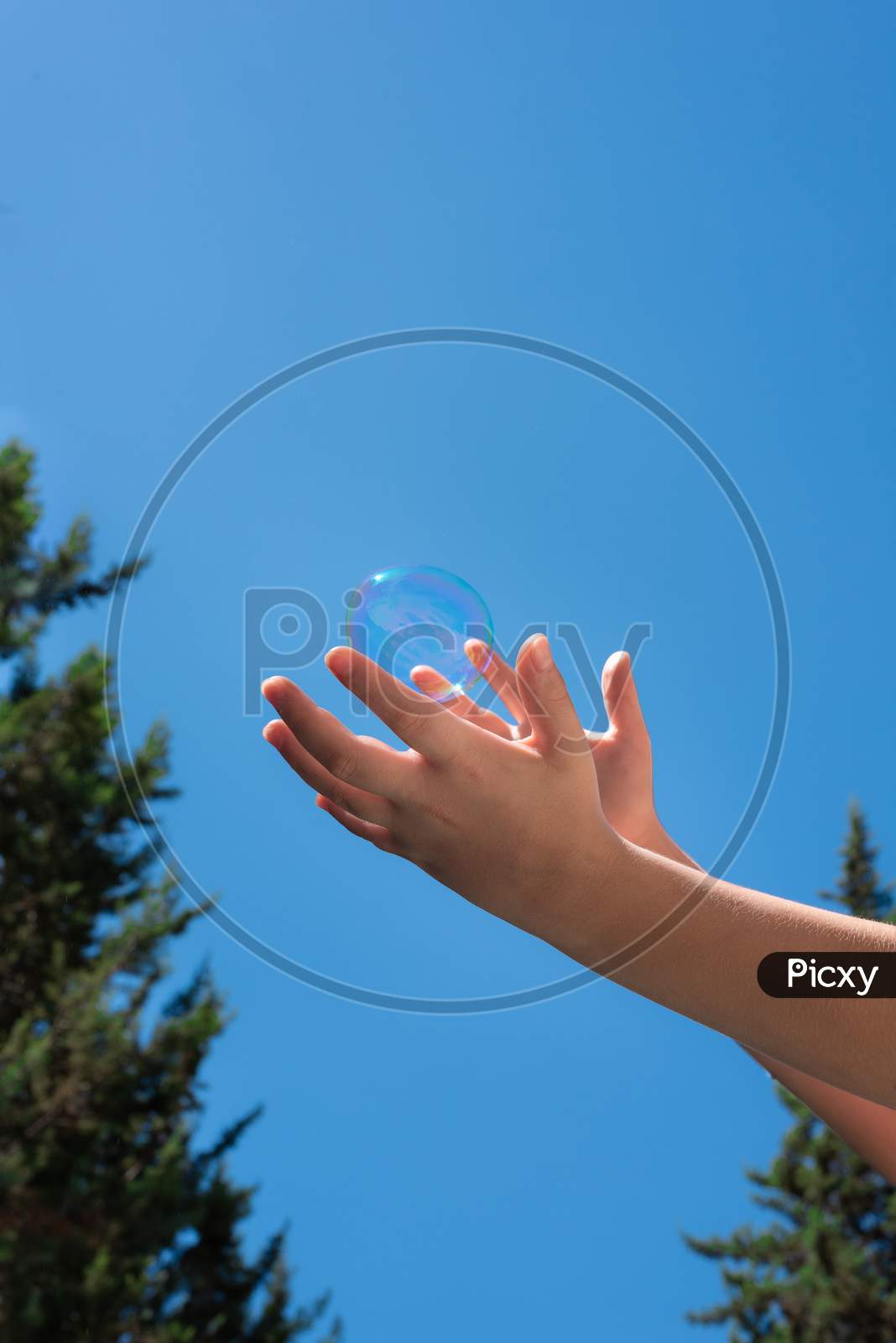 A Bubble Soap In Children Hands Against A Blue Sky